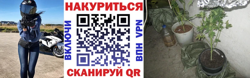 Купить где  Фокино  Конопля семена 